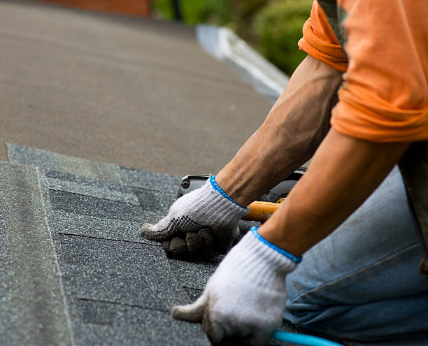 Roof Gutter Cleaning in Hokendauqua, PA