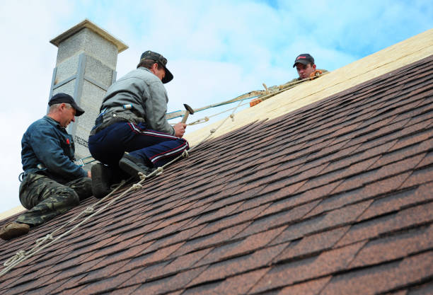 Best Metal Roofing Contractor  in Hokendauqua, PA